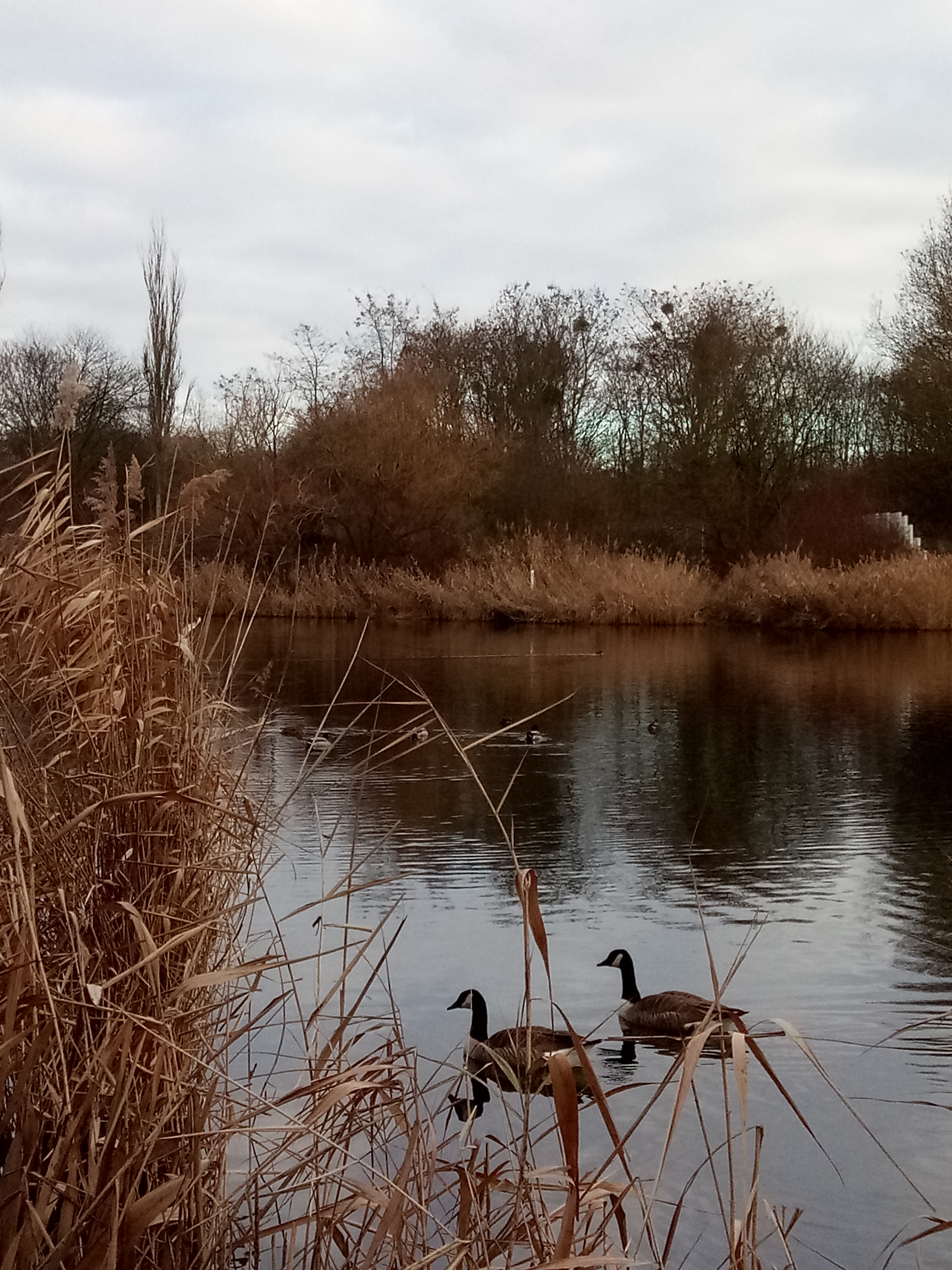 Photo n° 2 de l'avis de Valérie.A fait le 03/01/2019 à 11:33