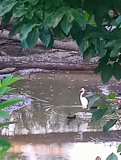 Park «Mike Lewis Park», reviews and photos, 2410 N Carrier Pkwy, Grand Prairie, TX 75050, USA