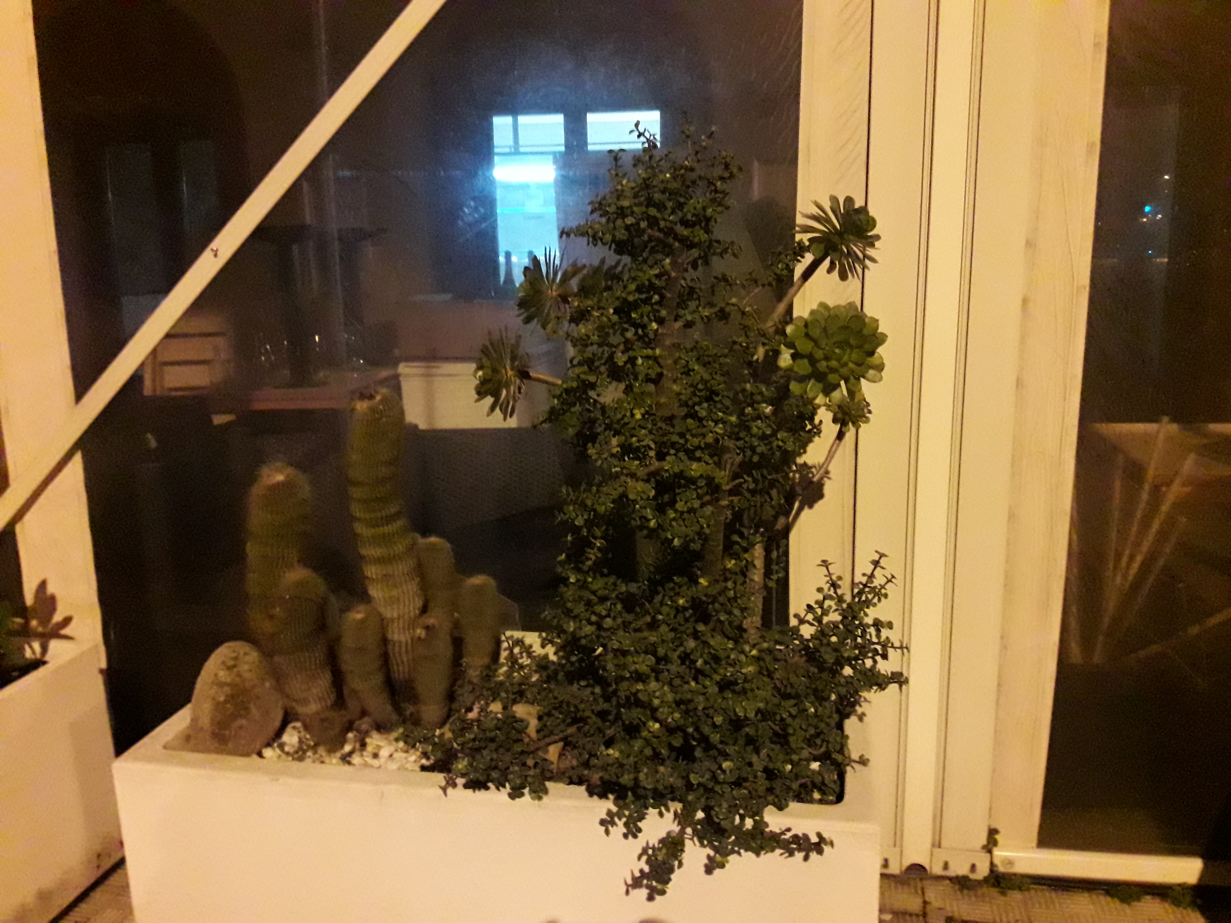Photo n° 21 de l'avis de Stefe. fait le 25/02/2018 à 00:05