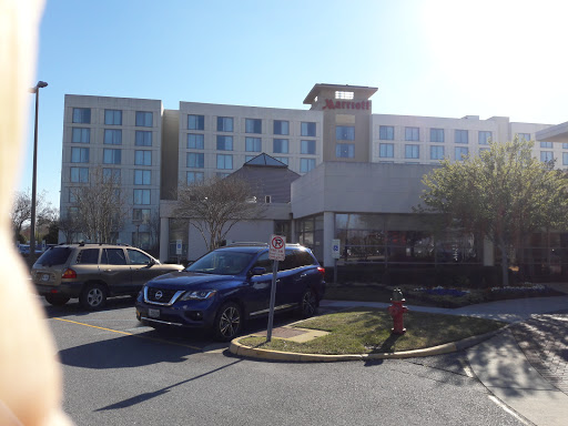 Hotel «Delta Hotels by Marriott Chesapeake», reviews and photos