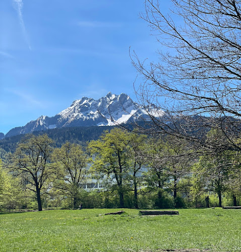 Rezensionen über Hundewiese Allmend in Luzern - Hundeschule