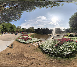 Garden Of Reeds photo