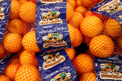 Grocery Store «Food Lion», reviews and photos, 945 N Main St b, Marion, VA 24354, USA