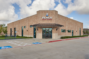 Pengu Swim School - Cinco Ranch image