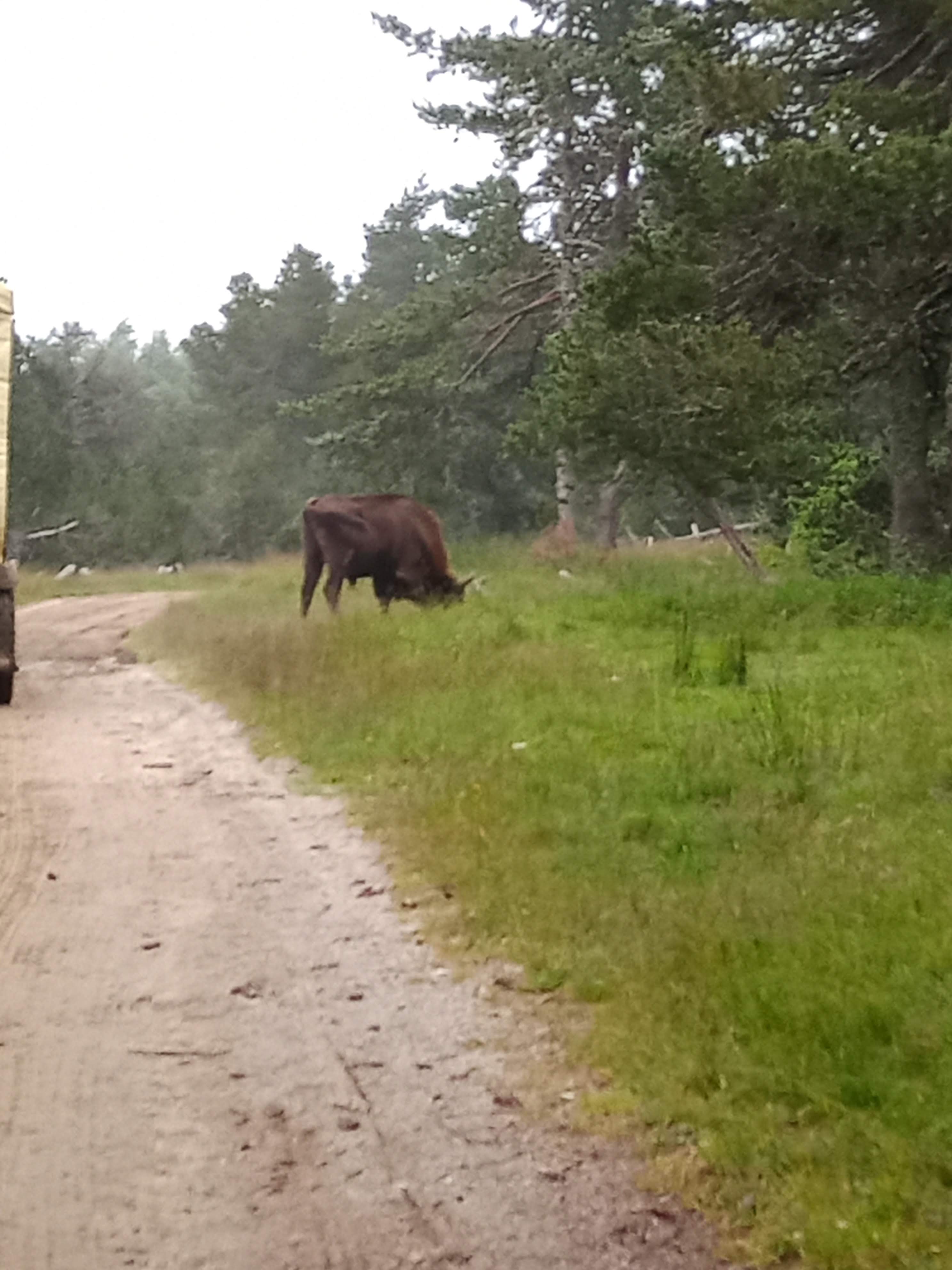 Photo n° 5 de l'avis de Marj.a fait le 18/07/2021 à 21:04