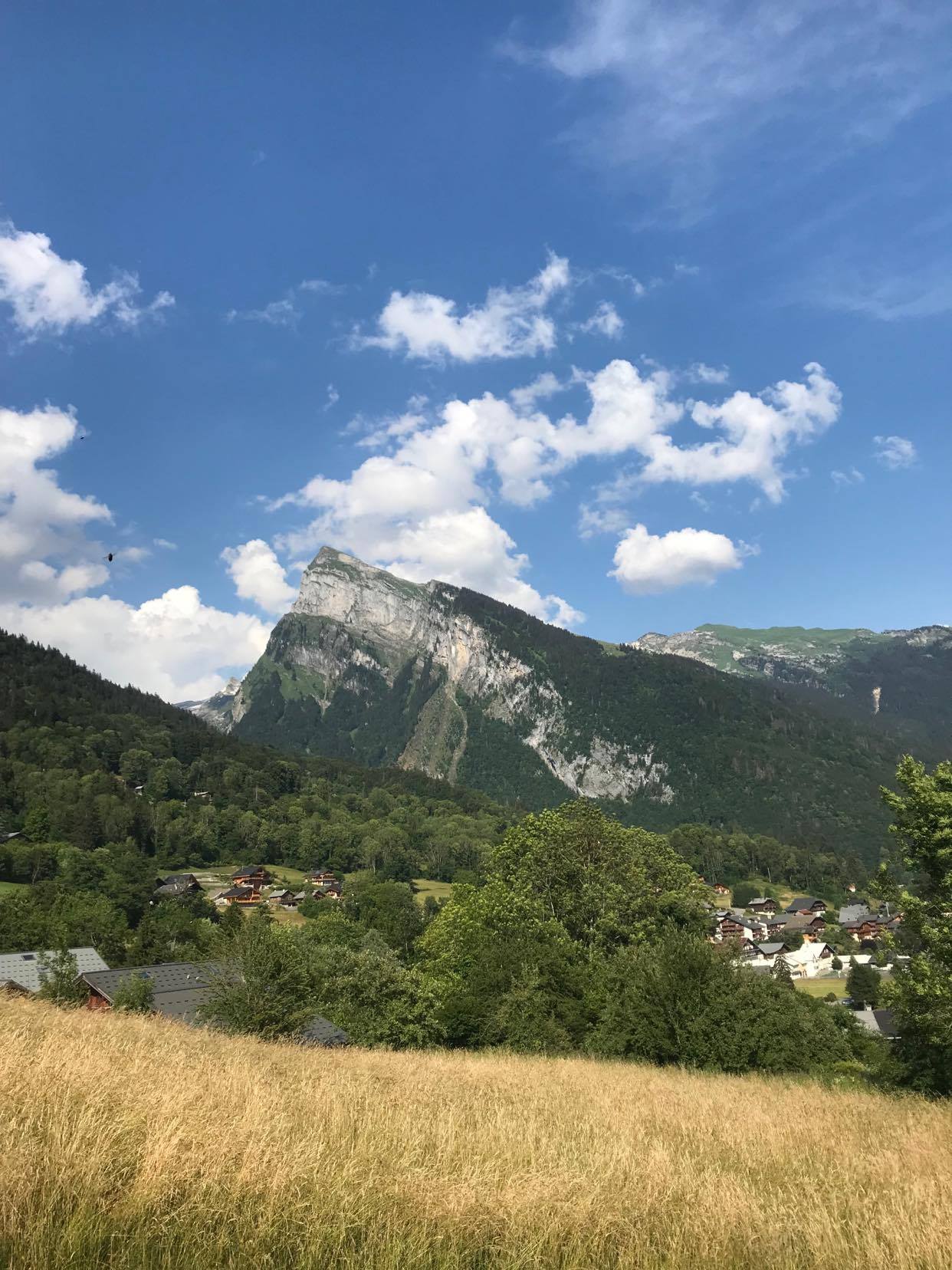 Photo n° 4 de l'avis de Antoine.e fait le 25/06/2020 à 16:34