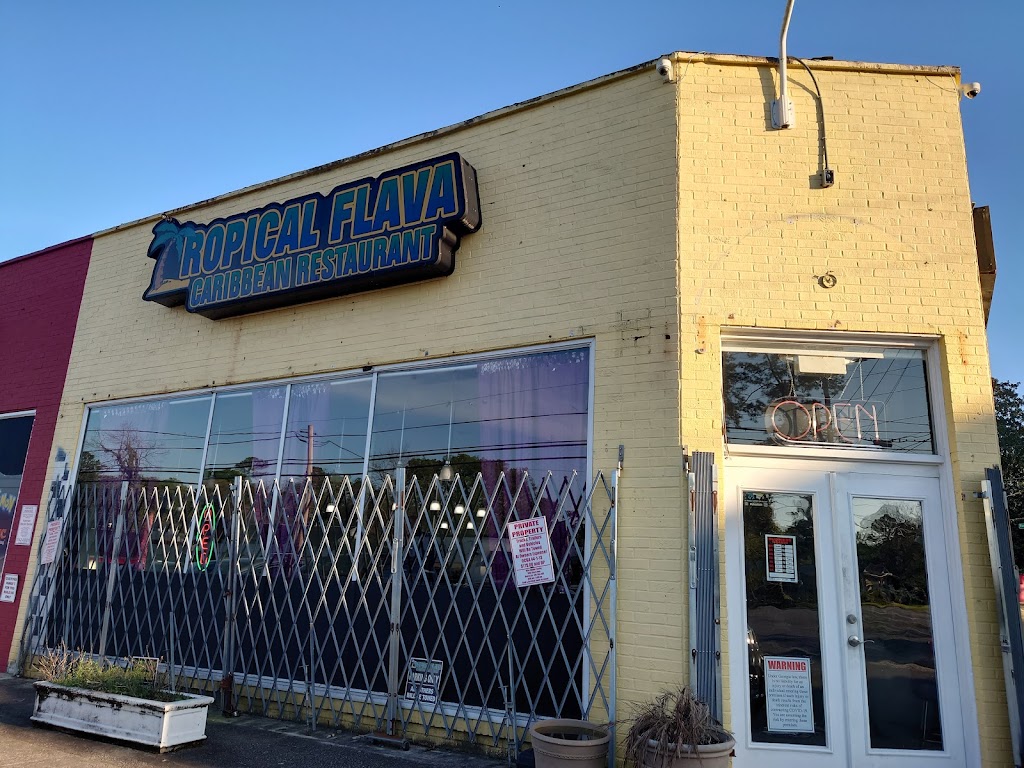 Tropical Flava 31204