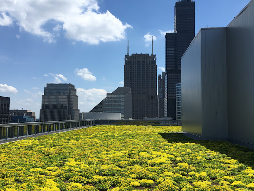 Roofing Contractor «All American Exterior Solutions», reviews and photos, 150 Oakwood Rd, Lake Zurich, IL 60047, USA