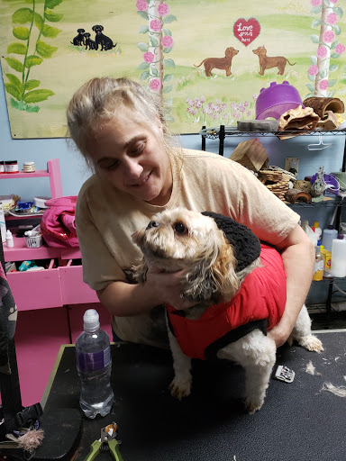 Pet Store «Everything Pets», reviews and photos, 1506 Altamont Ave, Schenectady, NY 12303, USA