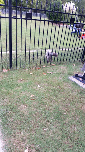 Golf Course «WestRidge Golf Course», reviews and photos, 9055 Cotton Ridge North Road, McKinney, TX 75070, USA