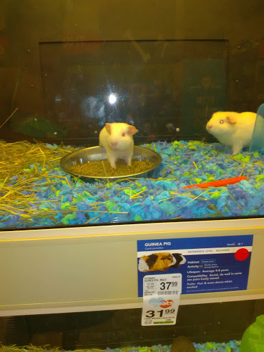 Pet Supply Store «PetSmart», reviews and photos, 3351 Jefferson Davis Hwy, Alexandria, VA 22305, USA