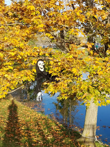 Amusement Park «Fantasy Island», reviews and photos, 2400 Grand Island Blvd, Grand Island, NY 14072, USA