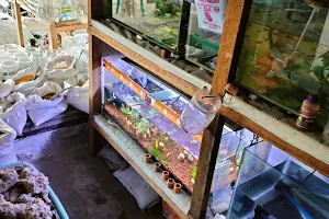 Ifen Aquarium image