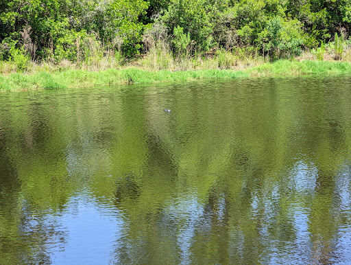 Golf Club «NAS Jacksonville Golf Club», reviews and photos, 3978 Mustin Rd, Jacksonville, FL 32212, USA