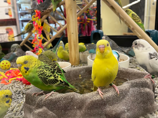 Pet Supply Store «PetSmart», reviews and photos, 5 Mystic View Rd, Everett, MA 02149, USA