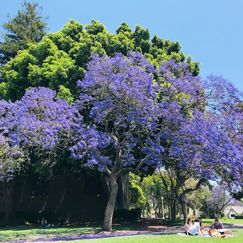 LA High Memorial Park