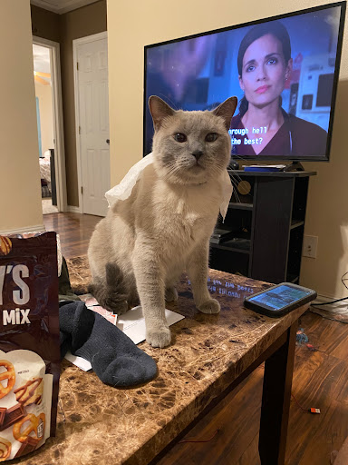 Find lesbian couple tattoos ideas for your next unique tattoo in Middleton at Pretty in Ink