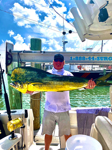 Explore x ray tattoo ideas, creative tattoo ideas in South Padre Island, available at Peggys Temporary & Permanent Tattoos