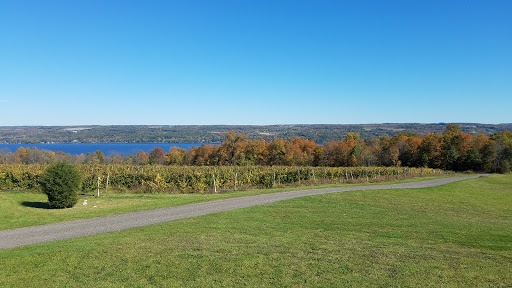 Winery «Frontenac Point Vineyard & Estate Winery», reviews and photos, 9501 NY-89, Trumansburg, NY 14886, USA