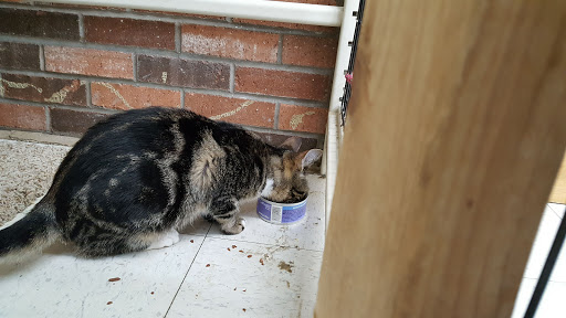 Pet Supply Store «Pet Supplies Plus», reviews and photos, 1433 E Main St, Owosso, MI 48867, USA