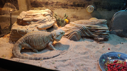 Pet Supply Store «Petco Animal Supplies», reviews and photos, 6137 Mid Rivers Mall Dr, St Charles, MO 63304, USA