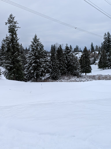 Golf Club «Echo Falls Golf Club», reviews and photos, 20414 121st Ave SE, Snohomish, WA 98296, USA