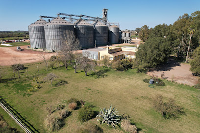 Barraca Erro S.A. - Nueva Palmira