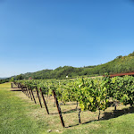 Photo n°2 de l'avis de Daniel.o fait le 30/08/2023 à 21:13 sur le  Rinuccio Restaurant à Bargino