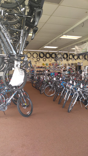 Bicycle Store «Al Petri & Sons Bicycle Center», reviews and photos, 2160 Fort St, Lincoln Park, MI 48146, USA