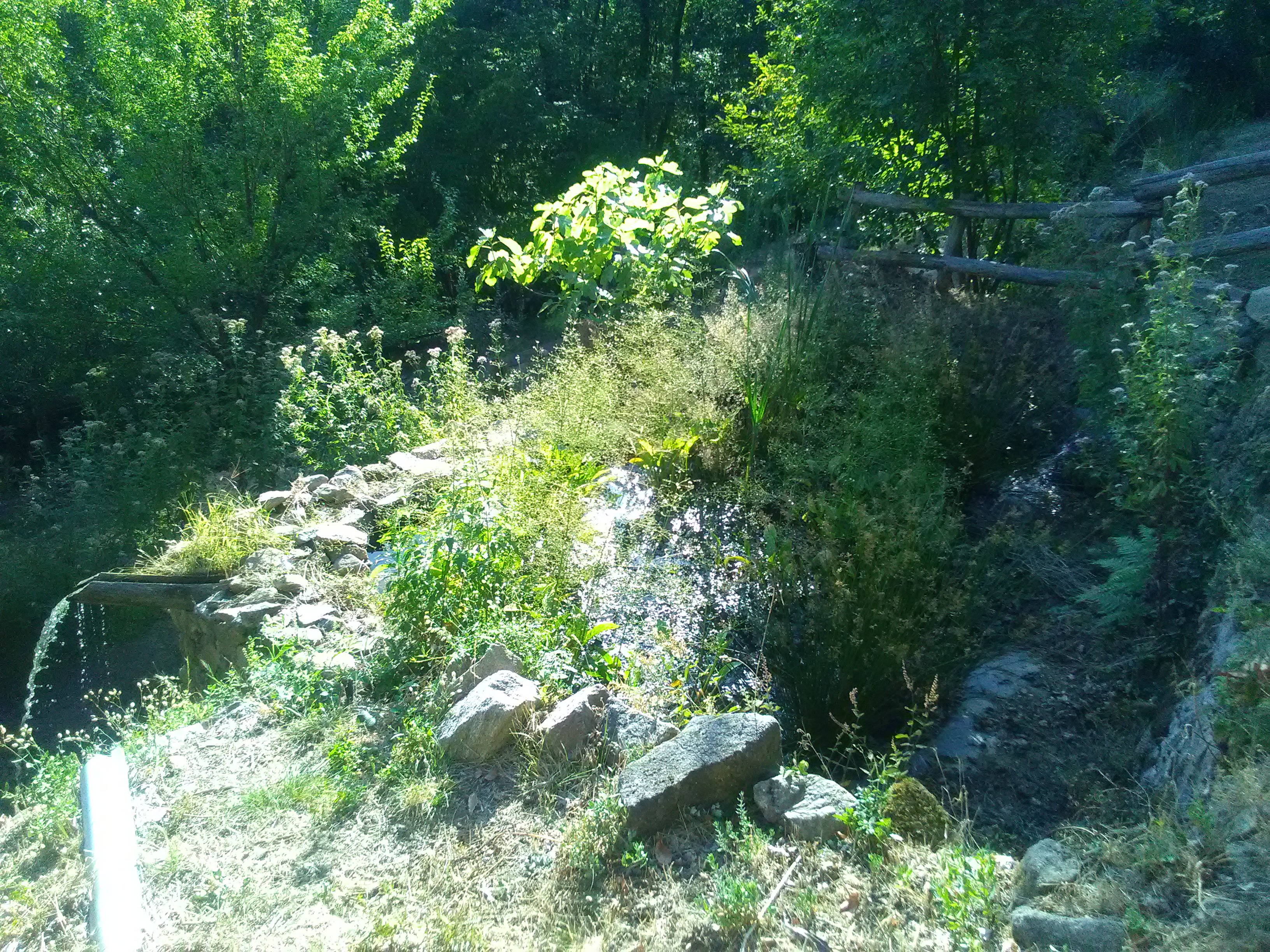 Photo n° 6 de l'avis de GoutteGoutte.. fait le 10/09/2019 à 20:16