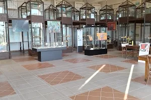 Museo civico archeologico del Distretto minerario image