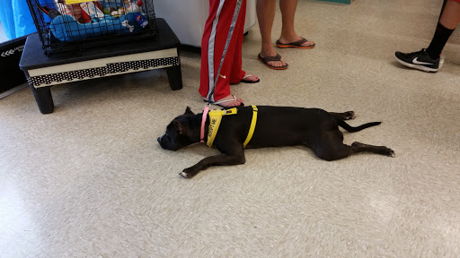 Pet Supply Store «PetSmart», reviews and photos, 1810 Cumming Hwy, Canton, GA 30114, USA