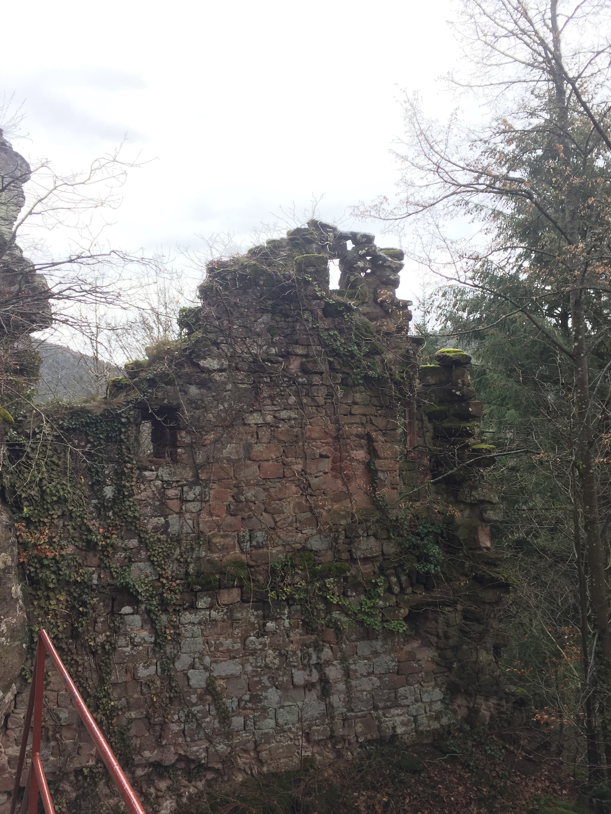 Photo n° 1 de l'avis de Joelle.e fait le 15/07/2019 à 15:00