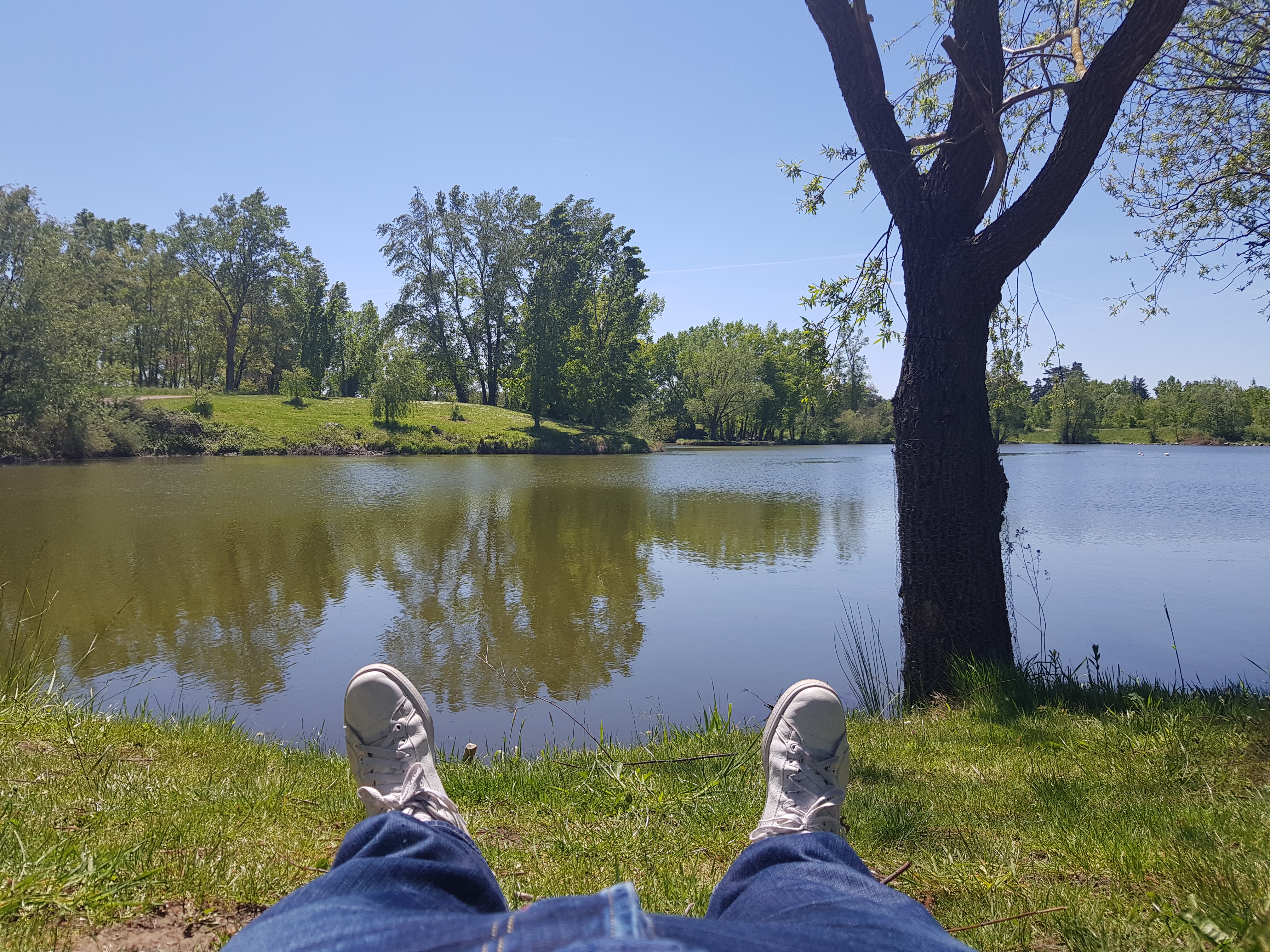 Photo n° 3 de l'avis de Petit.e fait le 29/06/2019 à 04:31