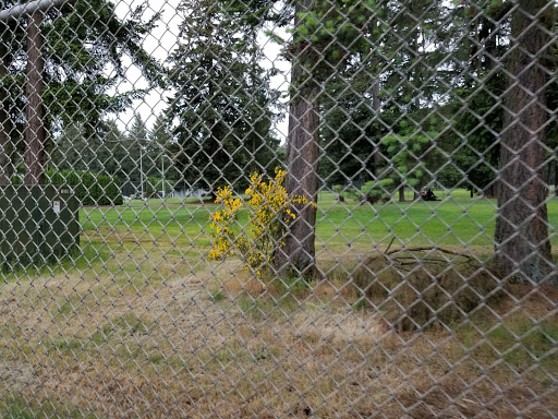 Golf Course «Lake Spanaway Golf Course», reviews and photos, 15602 Pacific Ave S, Tacoma, WA 98444, USA