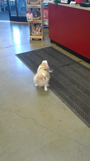 Pet Supply Store «Care-A-Lot Pet Supply», reviews and photos, 1924 Diamond Springs Rd, Virginia Beach, VA 23455, USA