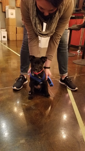 Winery «Fullerton Wines», reviews and photos, 10404 SW Mt Adams Dr, Beaverton, OR 97007, USA