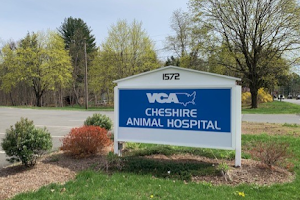 VCA Cheshire Animal Hospital image
