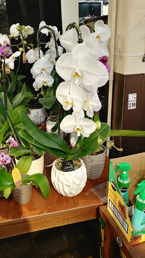 Grocery Store «Kroger», reviews and photos, 4919 Flat Shoals Pkwy, Decatur, GA 30034, USA