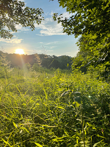 Nature Preserve «Jefferson Memorial Forest», reviews and photos, 11311 Mitchell Hill Rd, Fairdale, KY 40118, USA