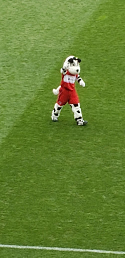 Stadium «Toyota Park», reviews and photos, 7000 Harlem Ave, Bridgeview, IL 60455, USA