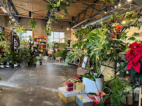 Terracotta - Photo 3 - Car repair in Boulder, CO, Boulder