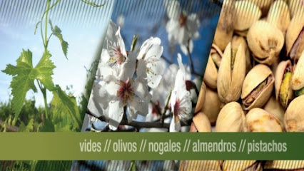 Vivero Productora SA