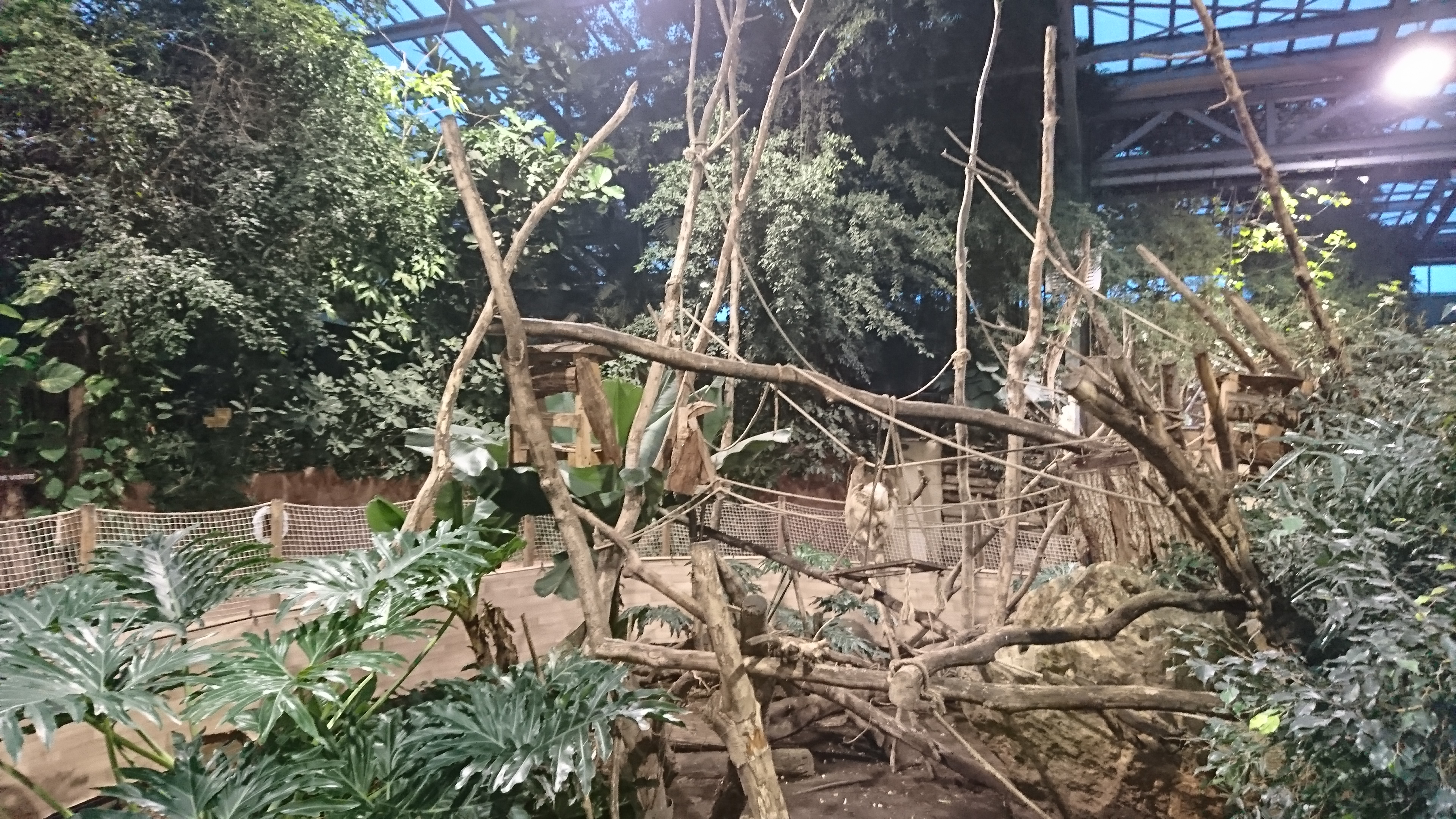 Photo n° 12 de l'avis de Stephane.e fait le 15/12/2018 à 21:01