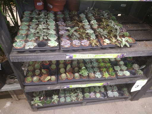 Home Improvement Store «The Home Depot», reviews and photos, 18700 Meyers Rd, Detroit, MI 48235, USA