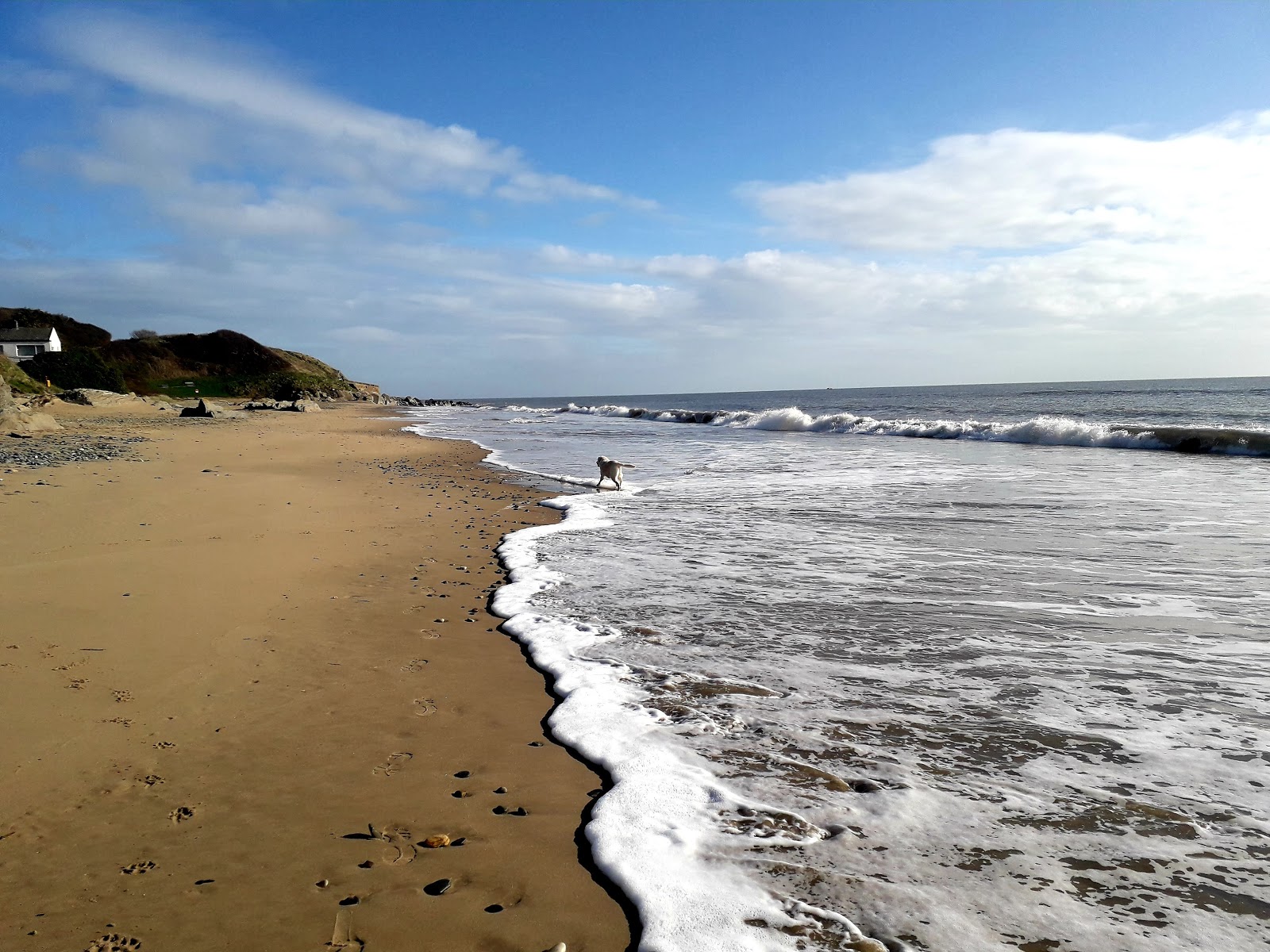 Fotografija Ballymoney Beach divje območje