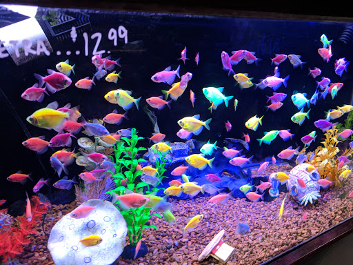 Pet Store «Wet Pets And Friends», reviews and photos, 3695 Washington Rd, Canonsburg, PA 15317, USA