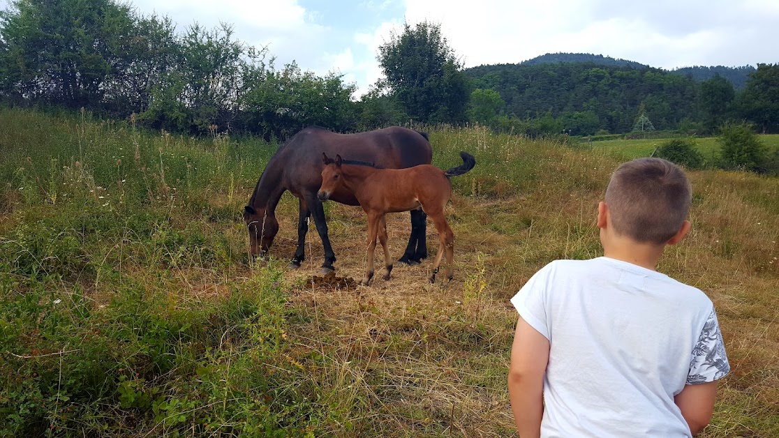 Blanchardeyres à Cornillon-en-Trièves (Isère 38)