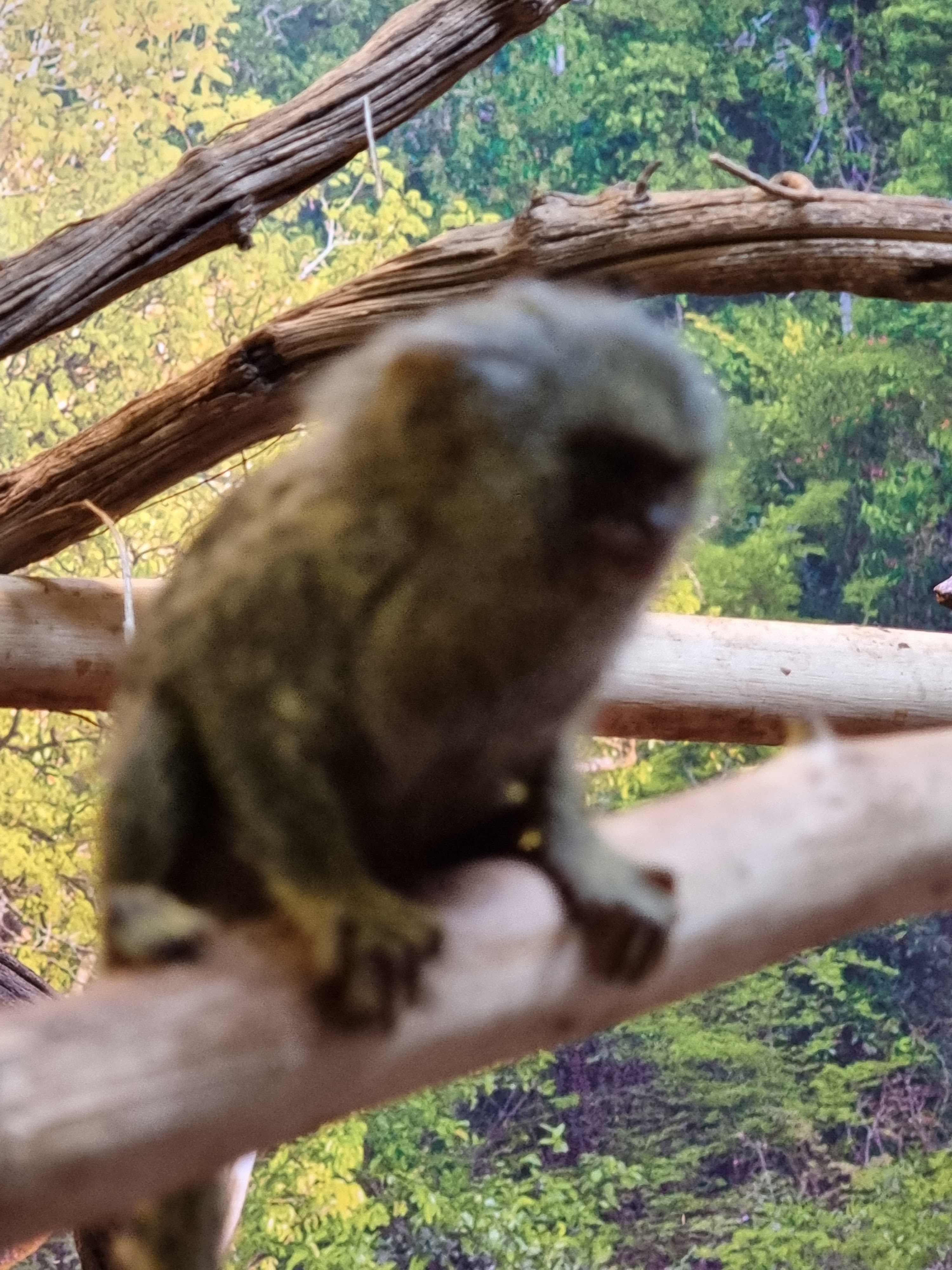 Photo n° 21 de l'avis de Noel.l fait le 12/04/2022 à 13:30