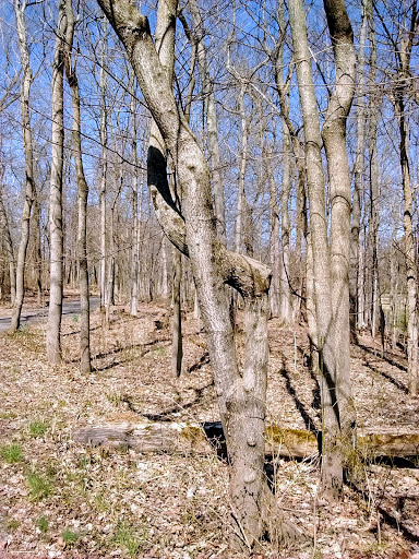 Park «Pioneer Park», reviews and photos, 10505 Deerfield Rd, Montgomery, OH 45242, USA